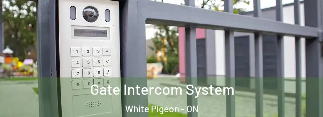  Gate Intercom System White Pigeon - ON