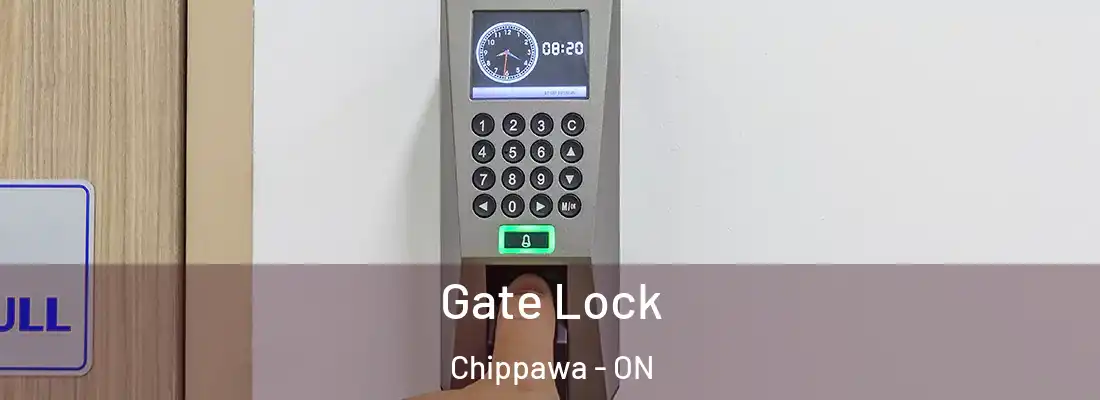  Gate Lock Chippawa - ON