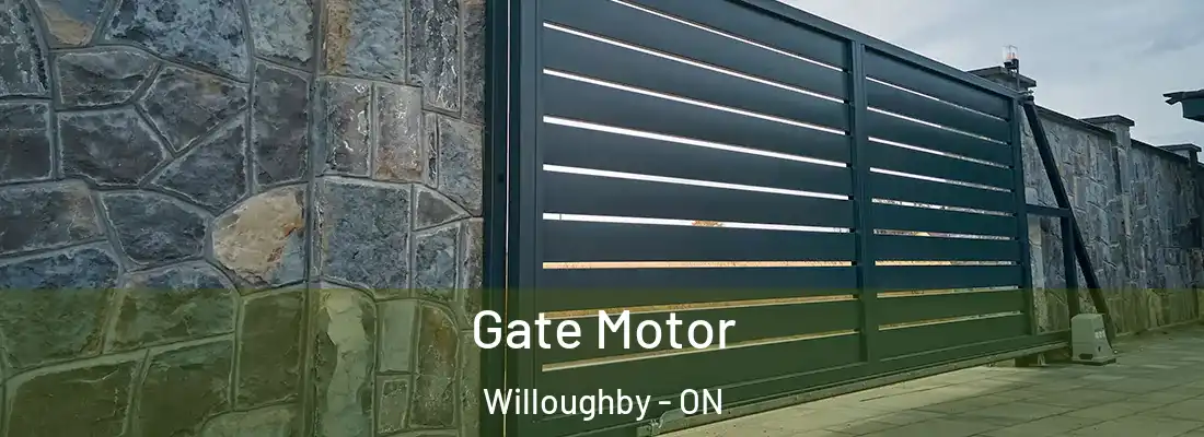  Gate Motor Willoughby - ON