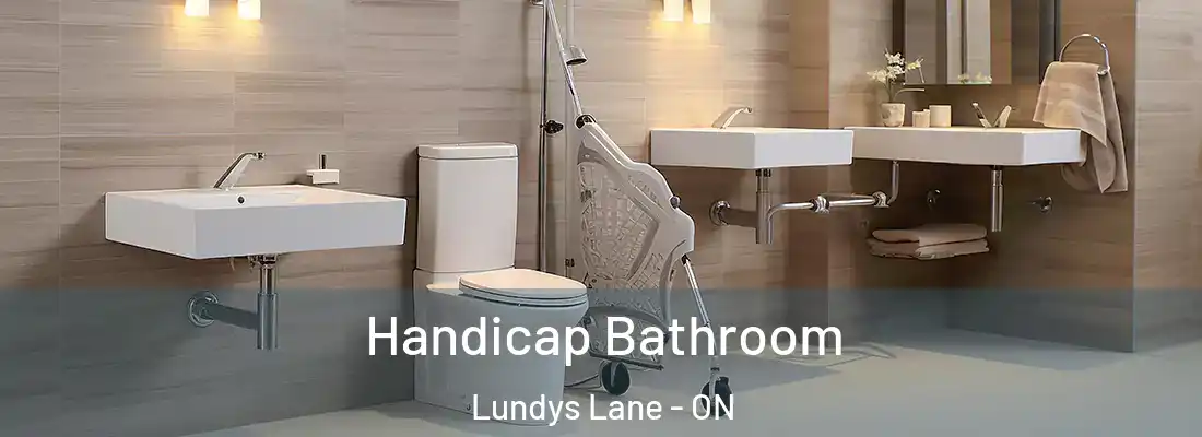  Handicap Bathroom Lundys Lane - ON