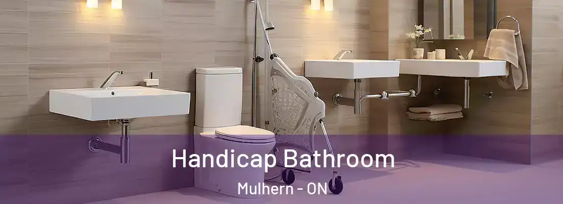  Handicap Bathroom Mulhern - ON