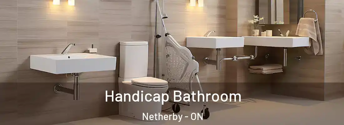  Handicap Bathroom Netherby - ON
