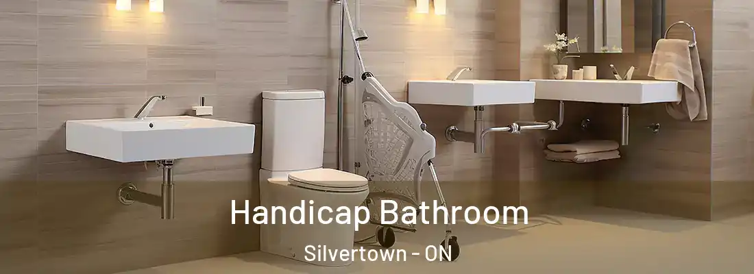  Handicap Bathroom Silvertown - ON