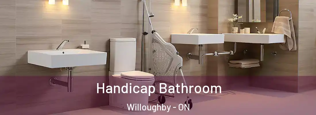  Handicap Bathroom Willoughby - ON