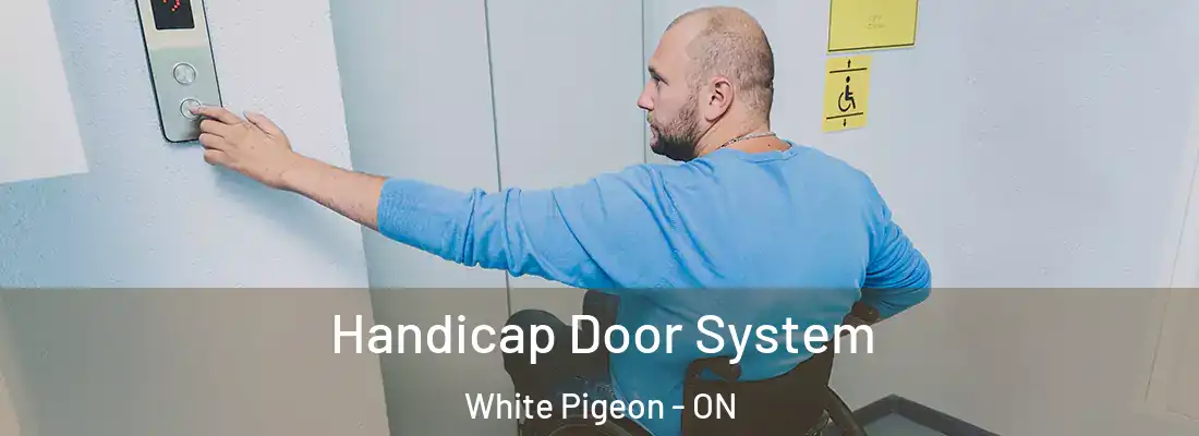  Handicap Door System White Pigeon - ON