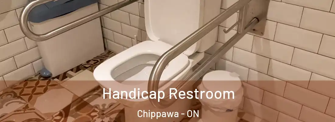  Handicap Restroom Chippawa - ON