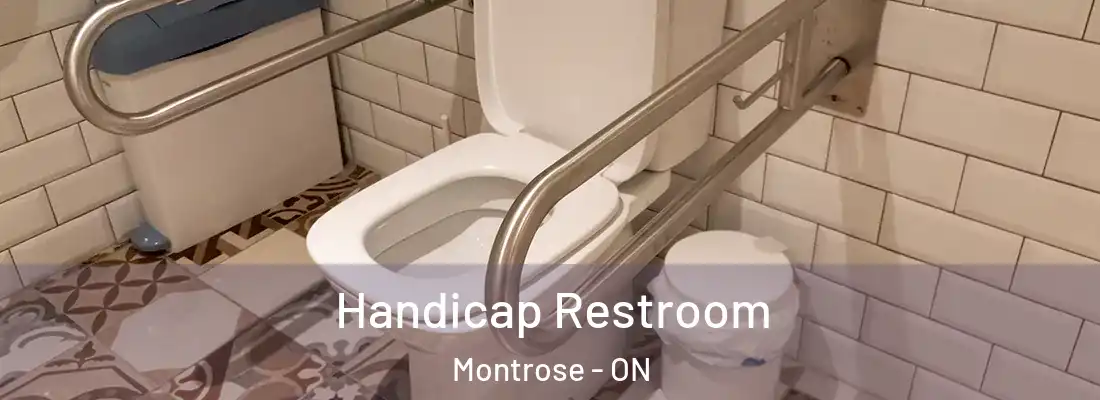  Handicap Restroom Montrose - ON