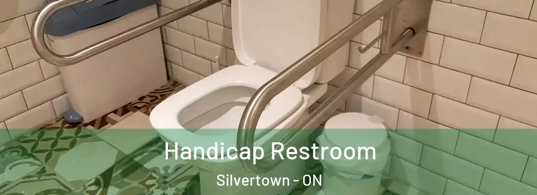  Handicap Restroom Silvertown - ON