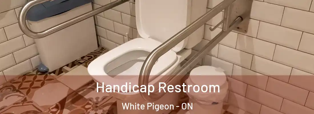  Handicap Restroom White Pigeon - ON