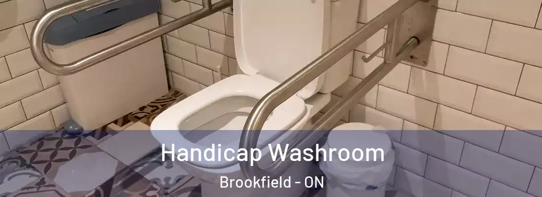  Handicap Washroom Brookfield - ON