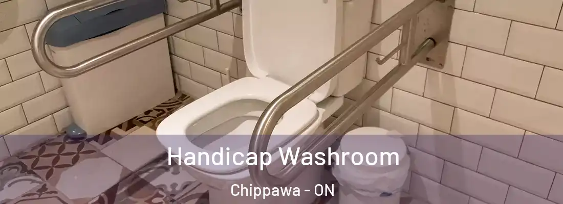  Handicap Washroom Chippawa - ON