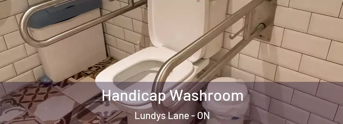  Handicap Washroom Lundys Lane - ON