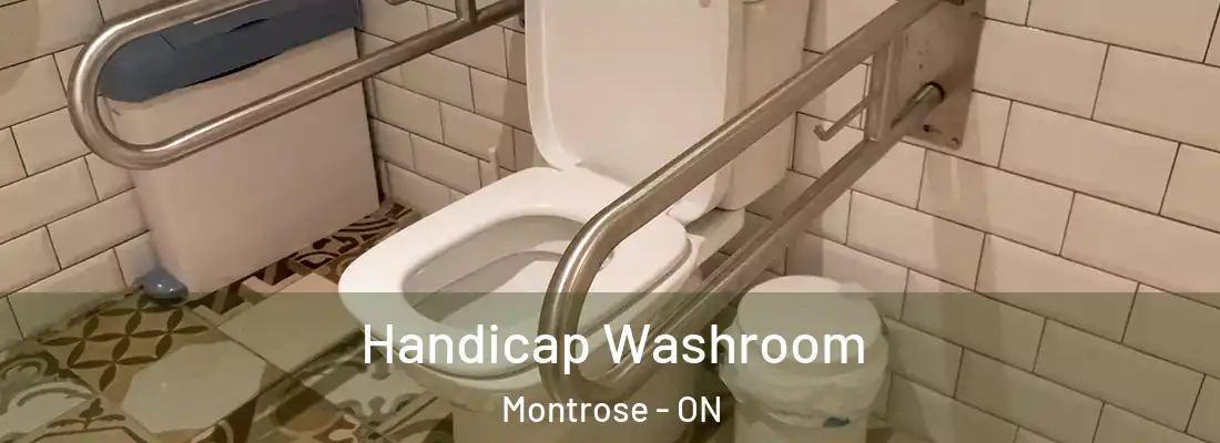  Handicap Washroom Montrose - ON