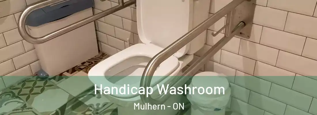  Handicap Washroom Mulhern - ON