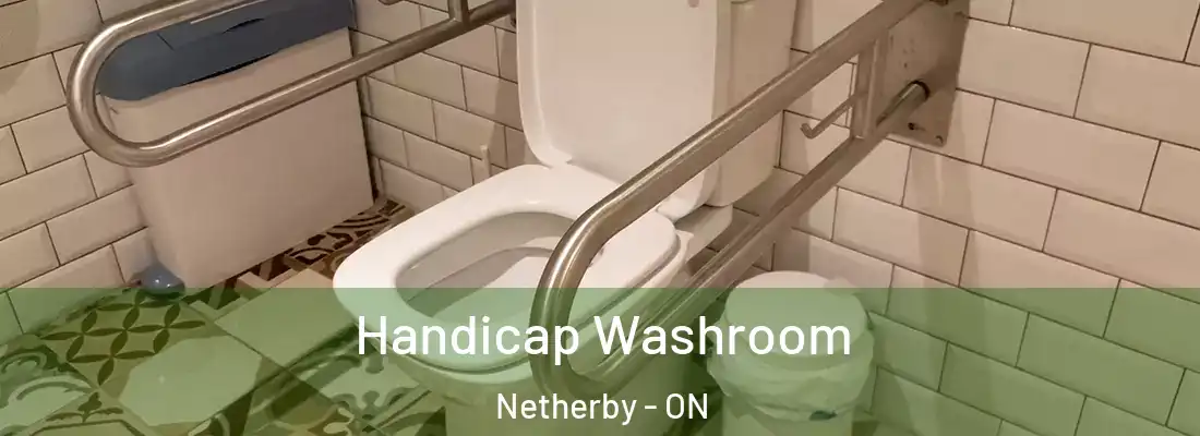  Handicap Washroom Netherby - ON