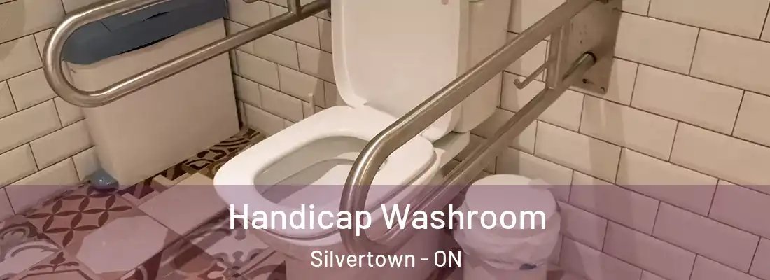  Handicap Washroom Silvertown - ON