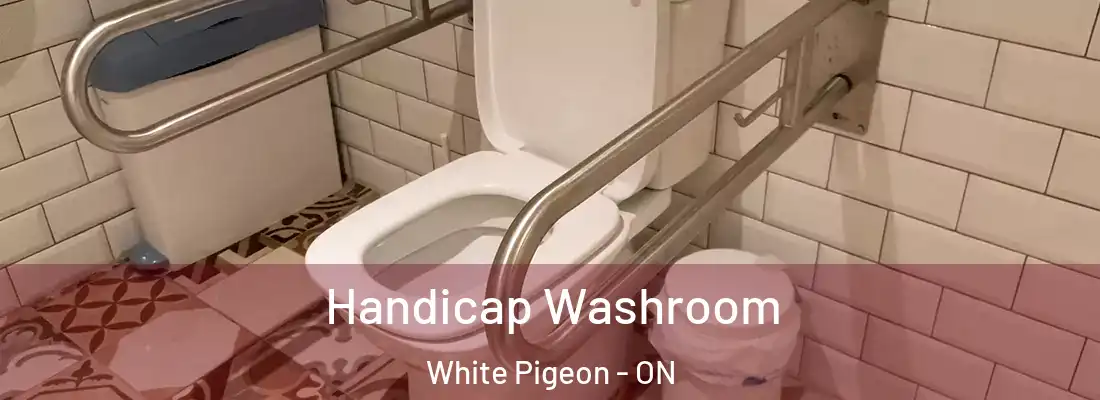  Handicap Washroom White Pigeon - ON