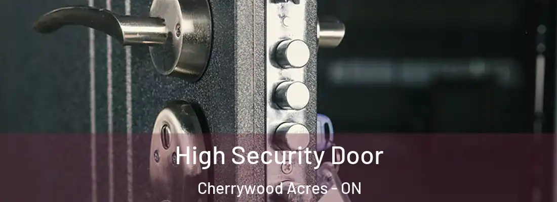  High Security Door Cherrywood Acres - ON