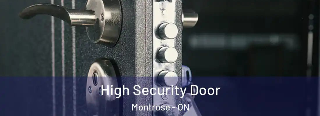  High Security Door Montrose - ON