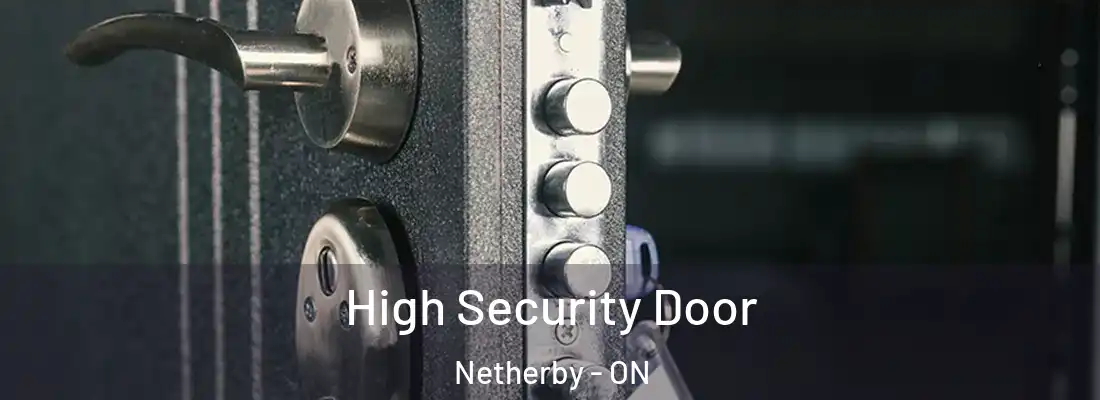 High Security Door Netherby - ON