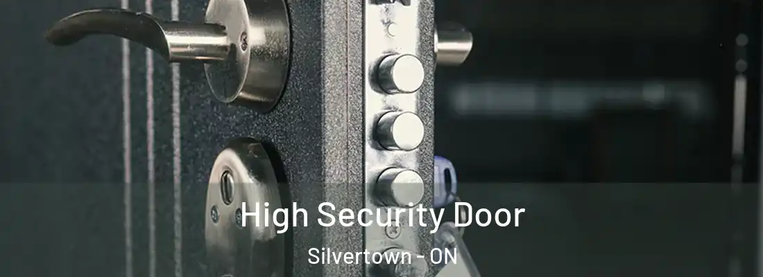  High Security Door Silvertown - ON