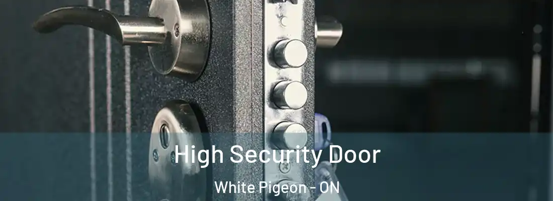  High Security Door White Pigeon - ON