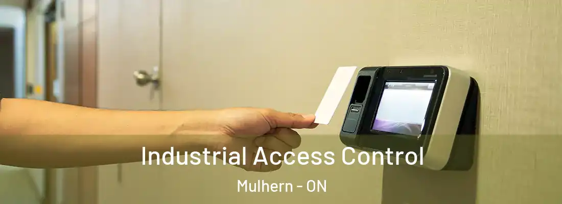 Industrial Access Control Mulhern - ON