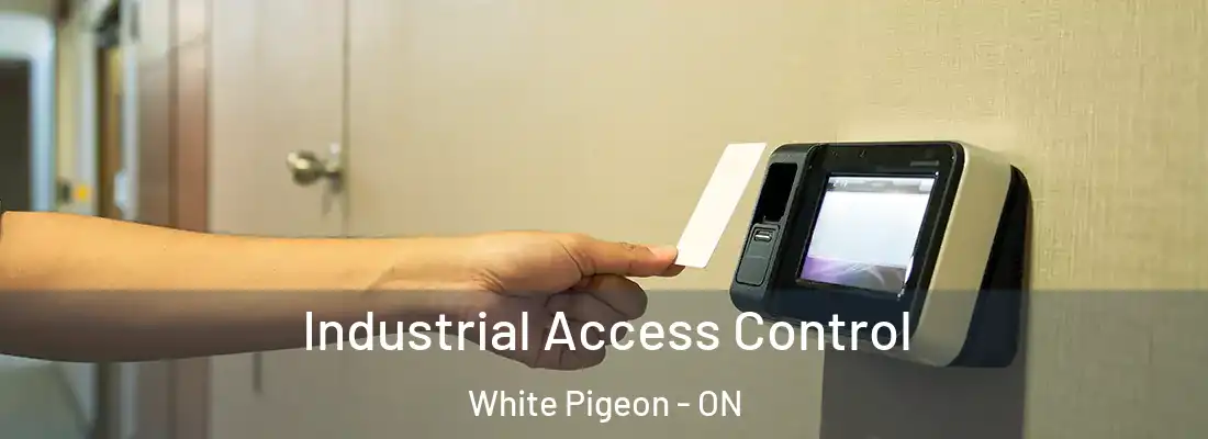  Industrial Access Control White Pigeon - ON
