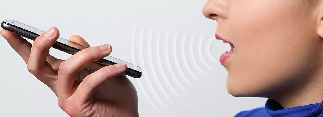 Residential and Commercial Voice Recognition Access Solutions in Stamford, ON