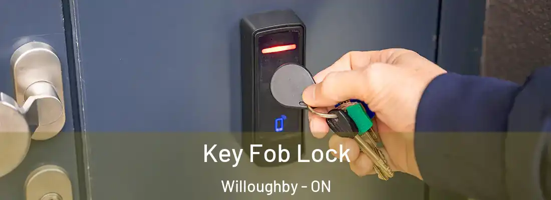  Key Fob Lock Willoughby - ON