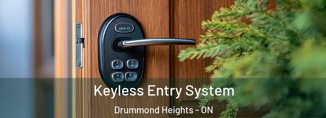  Keyless Entry System Drummond Heights - ON