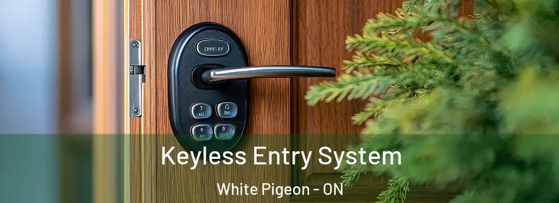  Keyless Entry System White Pigeon - ON