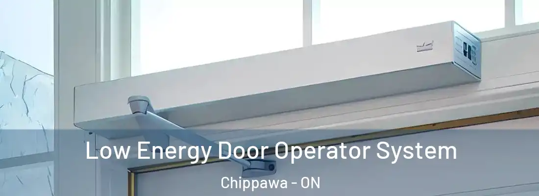  Low Energy Door Operator System Chippawa - ON