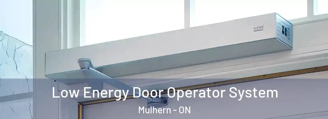  Low Energy Door Operator System Mulhern - ON