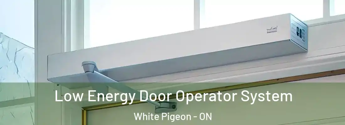  Low Energy Door Operator System White Pigeon - ON