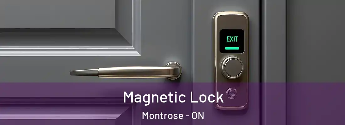  Magnetic Lock Montrose - ON