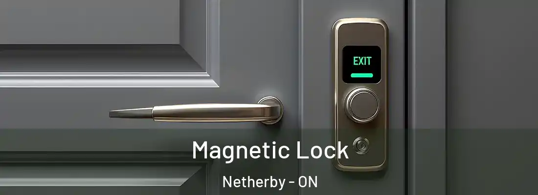  Magnetic Lock Netherby - ON