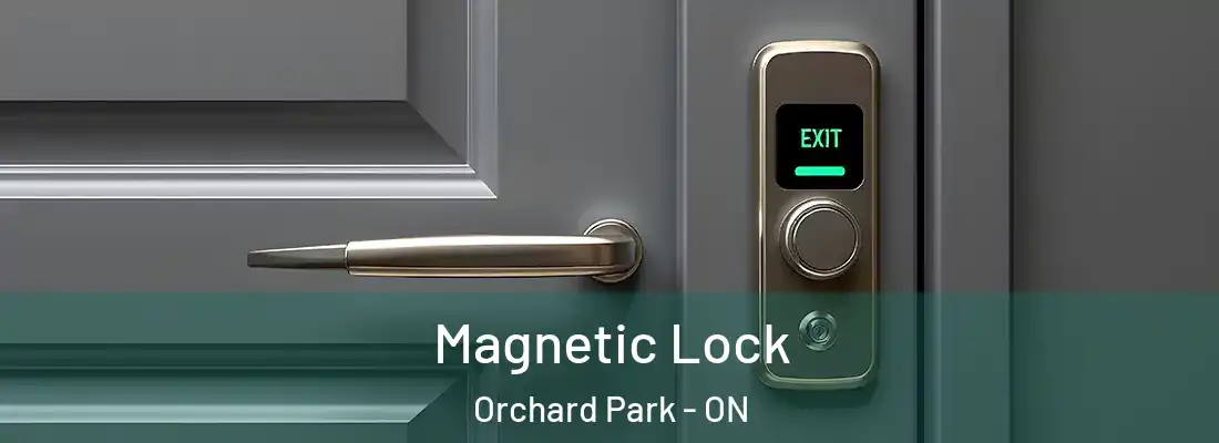  Magnetic Lock Orchard Park - ON