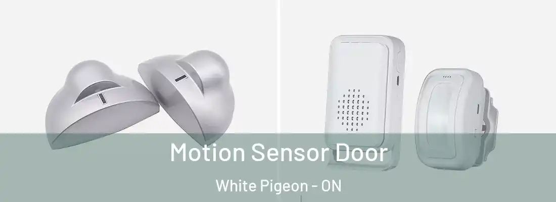  Motion Sensor Door White Pigeon - ON