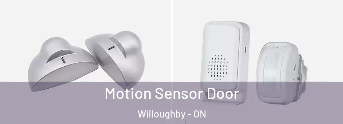  Motion Sensor Door Willoughby - ON