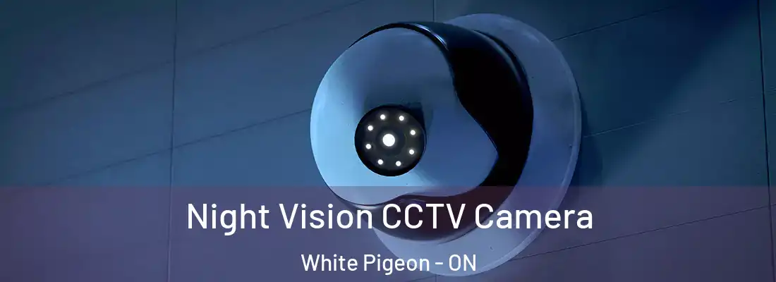  Night Vision CCTV Camera White Pigeon - ON