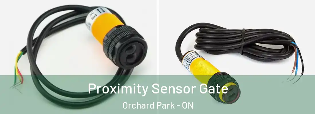  Proximity Sensor Gate Orchard Park - ON