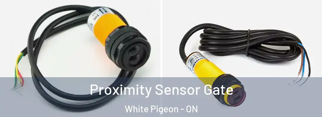  Proximity Sensor Gate White Pigeon - ON