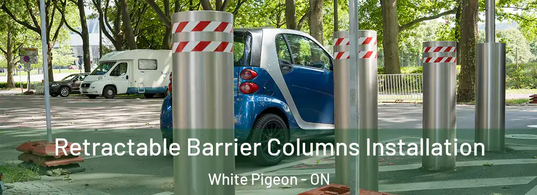  Retractable Barrier Columns Installation White Pigeon - ON