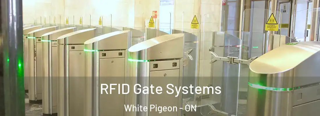  RFID Gate Systems White Pigeon - ON