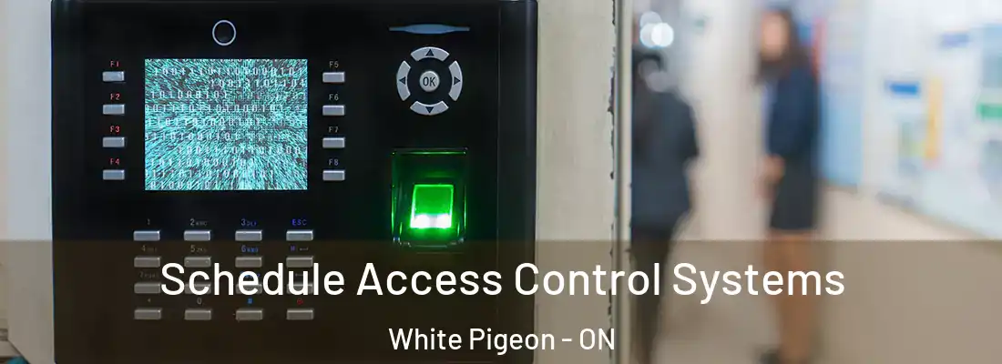  Schedule Access Control Systems White Pigeon - ON