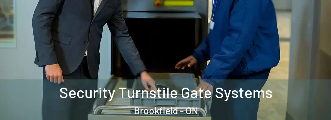  Security Turnstile Gate Systems Brookfield - ON