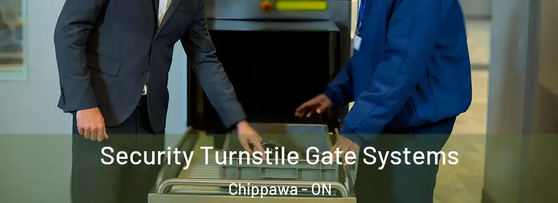  Security Turnstile Gate Systems Chippawa - ON