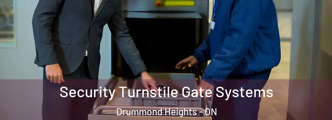  Security Turnstile Gate Systems Drummond Heights - ON