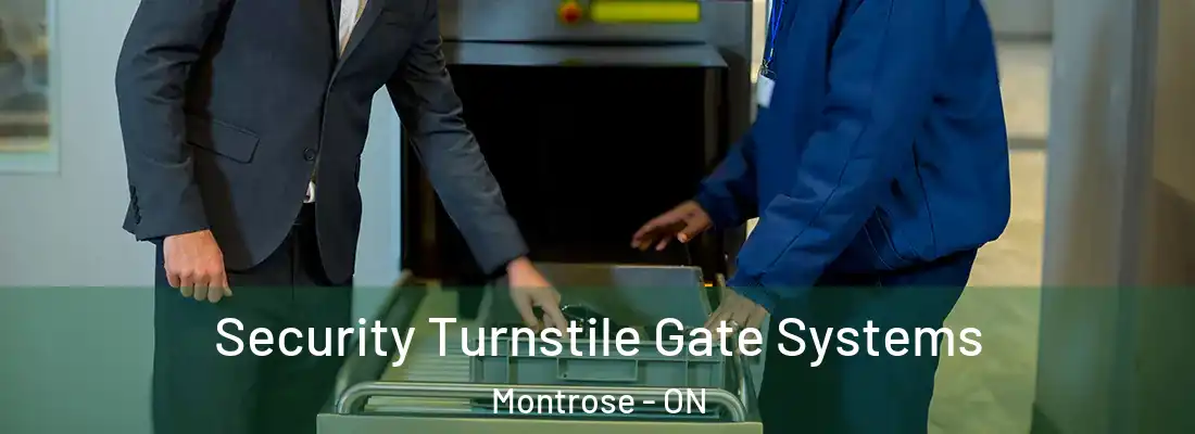  Security Turnstile Gate Systems Montrose - ON